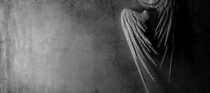 Lady Grey